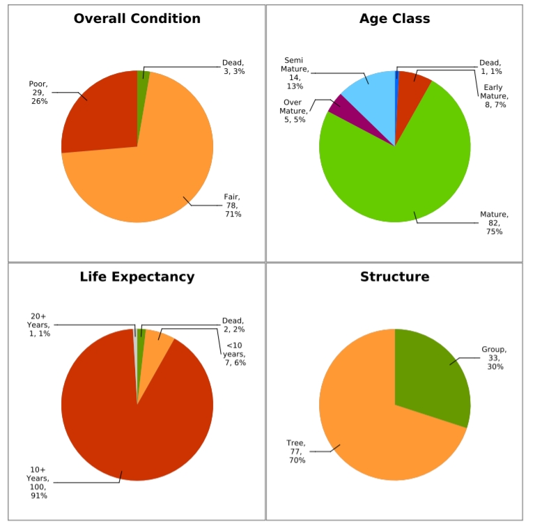 summary graph