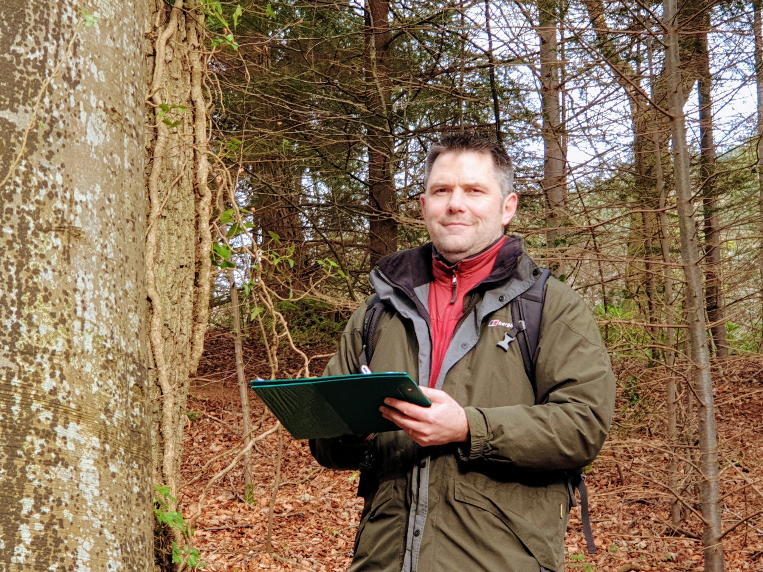 Professional tree survey Andrew Boe